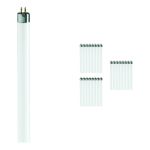 Mehrfachpackung 25x Philips MASTER Super 80 T5 Short 8W - 830 Warmweiß | 29cm